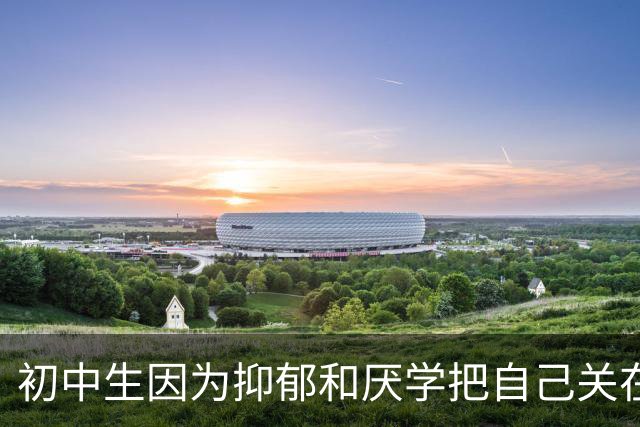 初中生因为抑郁和厌学把自己关在房里，妈妈急疯了，咬着牙让他去网吧玩游戏。他抑郁好了，读完大专，如今成家立业